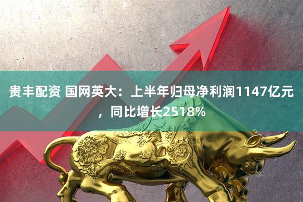 贵丰配资 国网英大：上半年归母净利润1147亿元，同比增长2518%