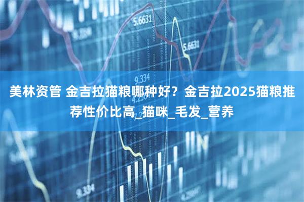 美林资管 金吉拉猫粮哪种好？金吉拉2025猫粮推荐性价比高_猫咪_毛发_营养