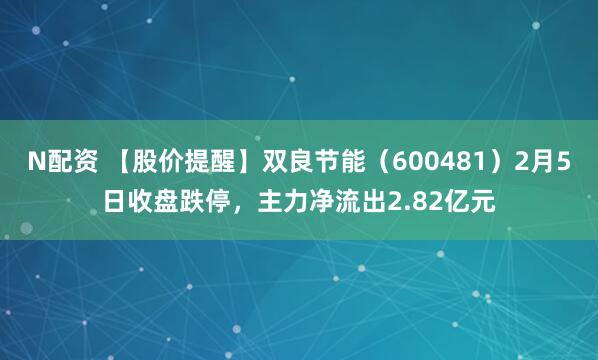 N配资 【股价提醒】双良节能（600481）2月5日收盘跌停，主力净流出2.82亿元