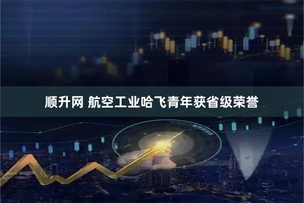 顺升网 航空工业哈飞青年获省级荣誉